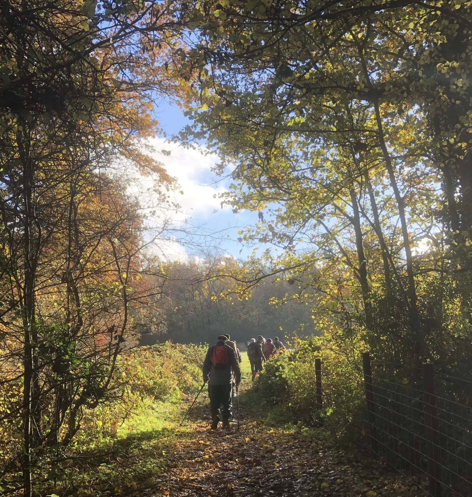 sunny day